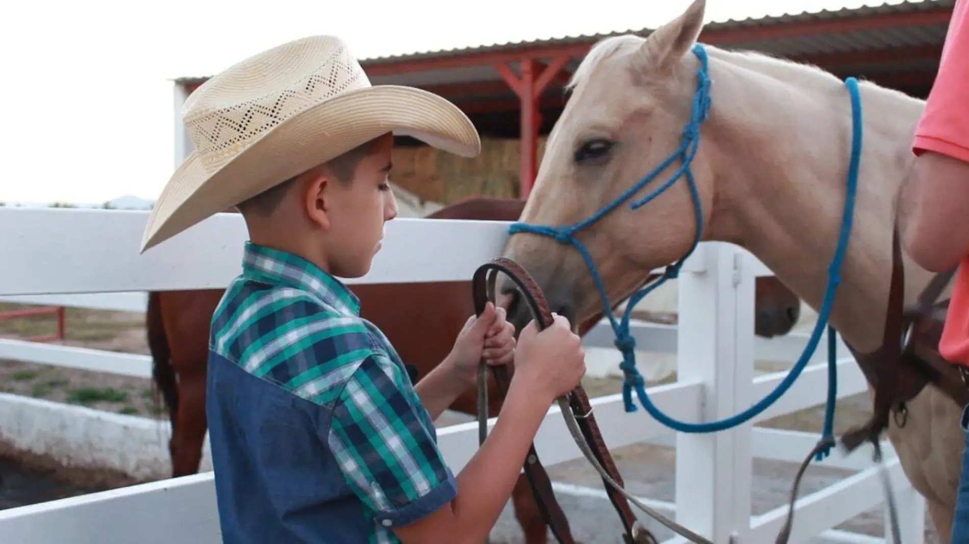 Niño caballo